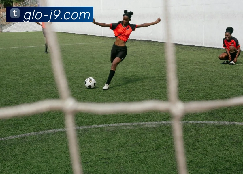 J9国际站官网平台生态图